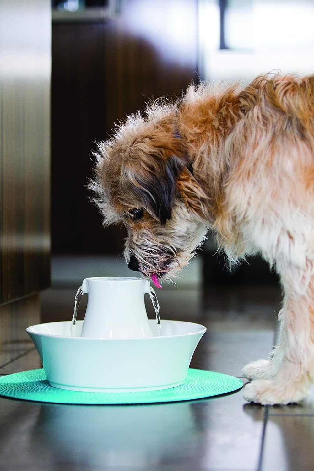 PetSafe Avalon Keramische Drinkfontein (2L) - Wit - 28% Korting