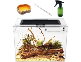Terrarium Kit met Korting - Ideaal voor Reptielen!