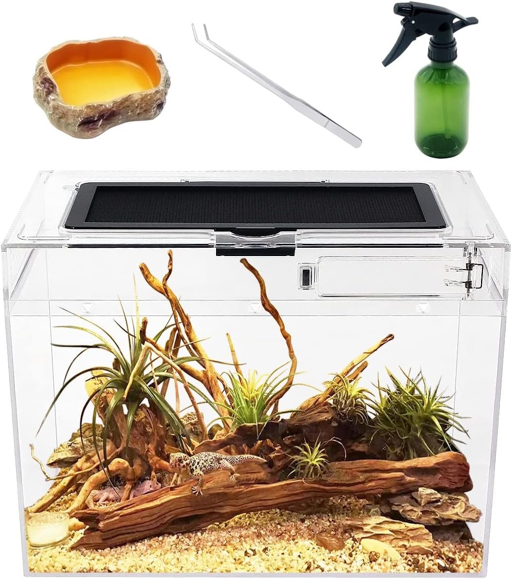Terrarium Kit met Korting - Ideaal voor Reptielen!