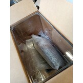 Terrarium Kit met Korting - Ideaal voor Reptielen!