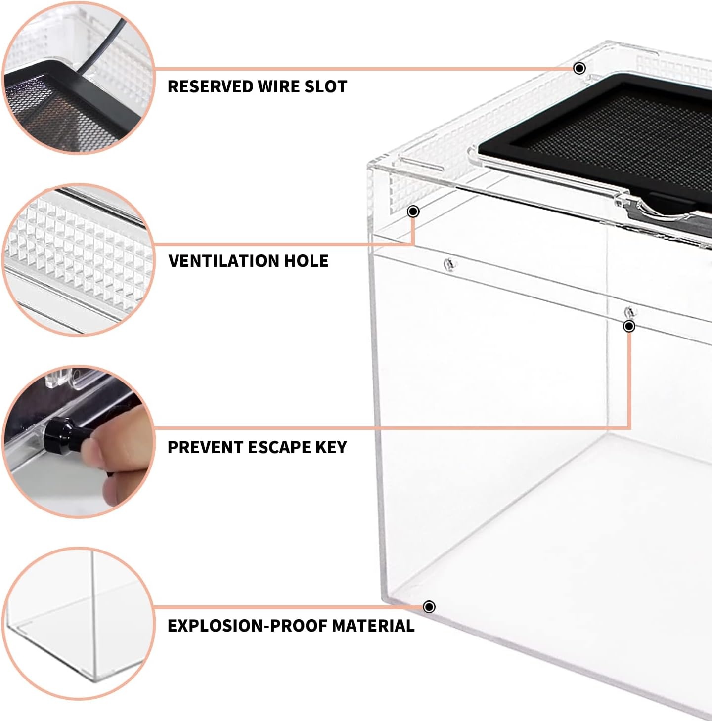 Terrarium Kit met Korting - Ideaal voor Reptielen!