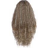 Sapphirewigs Highlights krullende lace front pruik, ombre grijs, synthetische pruiken voor vrouwen, 13 x 3 cm, dagelijks dragen, feest, Kerstmis, Halloween, hittebestendig, 66,1 cm