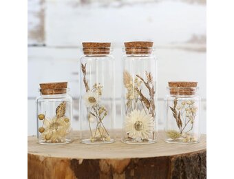 Set van 4 droogbloemen in glas met kurk - Natuurlijk