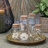 Set van 4 droogbloemen in glas met kurk - Natuurlijk