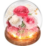 WYRIAZA Rozen 29% Korting | Eeuwige Liefde Cadeau