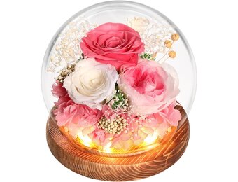 WYRIAZA Rozen 29% Korting | Eeuwige Liefde Cadeau