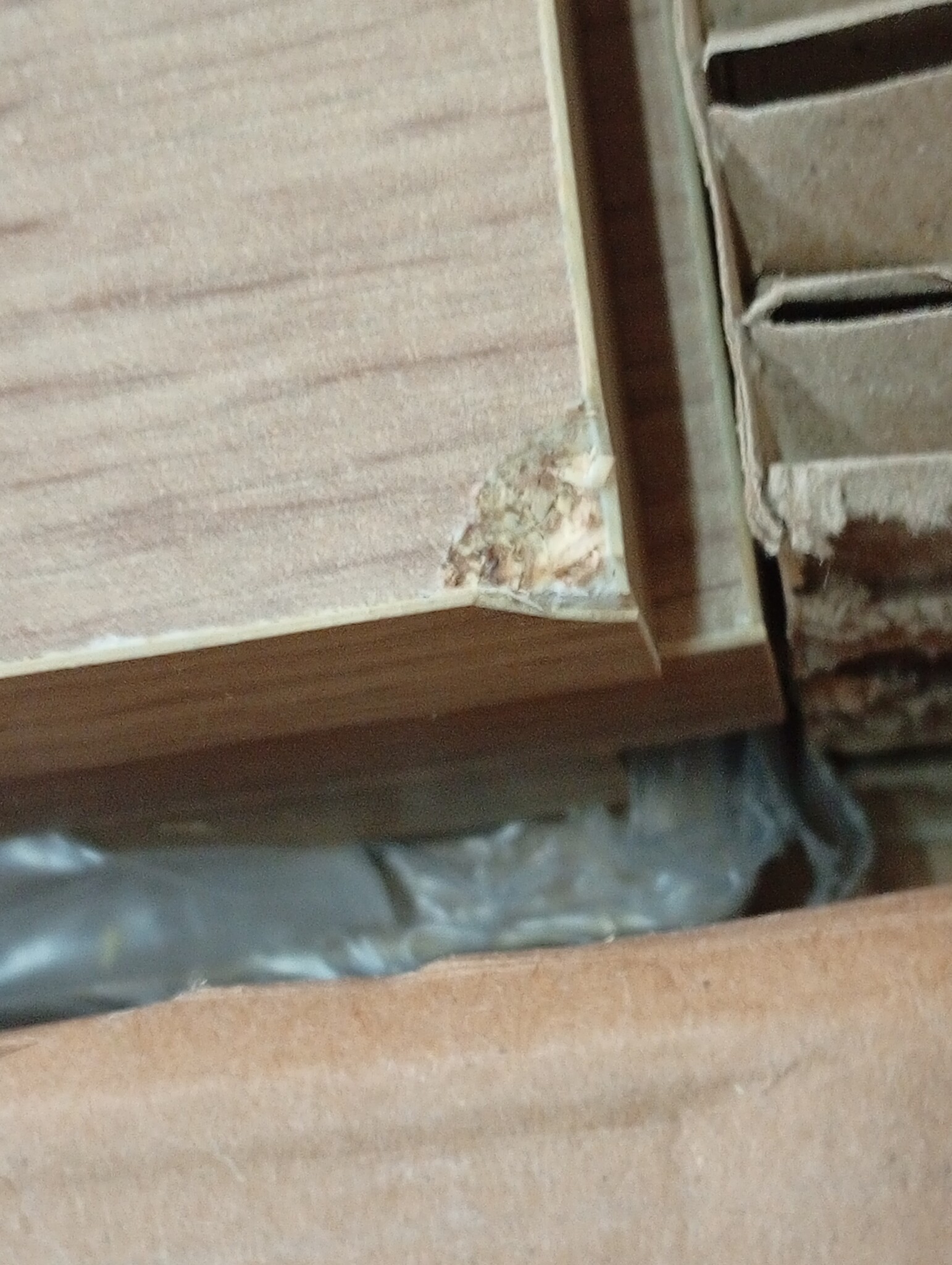 VidaXL Boekenplank Bord - Bruin (72% KORTING!)