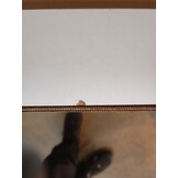 VidaXL Nachtkastje Wit - 40x35x50 cm - 53% Korting!