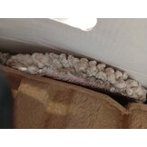 OGORI Elektrische dweil, vloerwisser, elektrisch, draadloos, met sproeifunctie, accu, dweil, polijstmachine + 2 batterijen, 400 ml watertank, led-verlichting, dubbele rotatiemop voor dweilen en