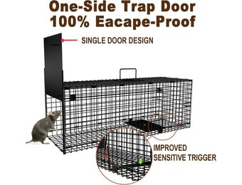 Levende dierenvanger Amagabeli 78x26x29cm - Vangkooi voor ongedierte zoals wasberen, mollen, eekhoorns en zwerfkatten