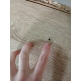 vidaXL Schoenenrek 48x38x97,5 cm - Sonoma Eiken - 53% Korting