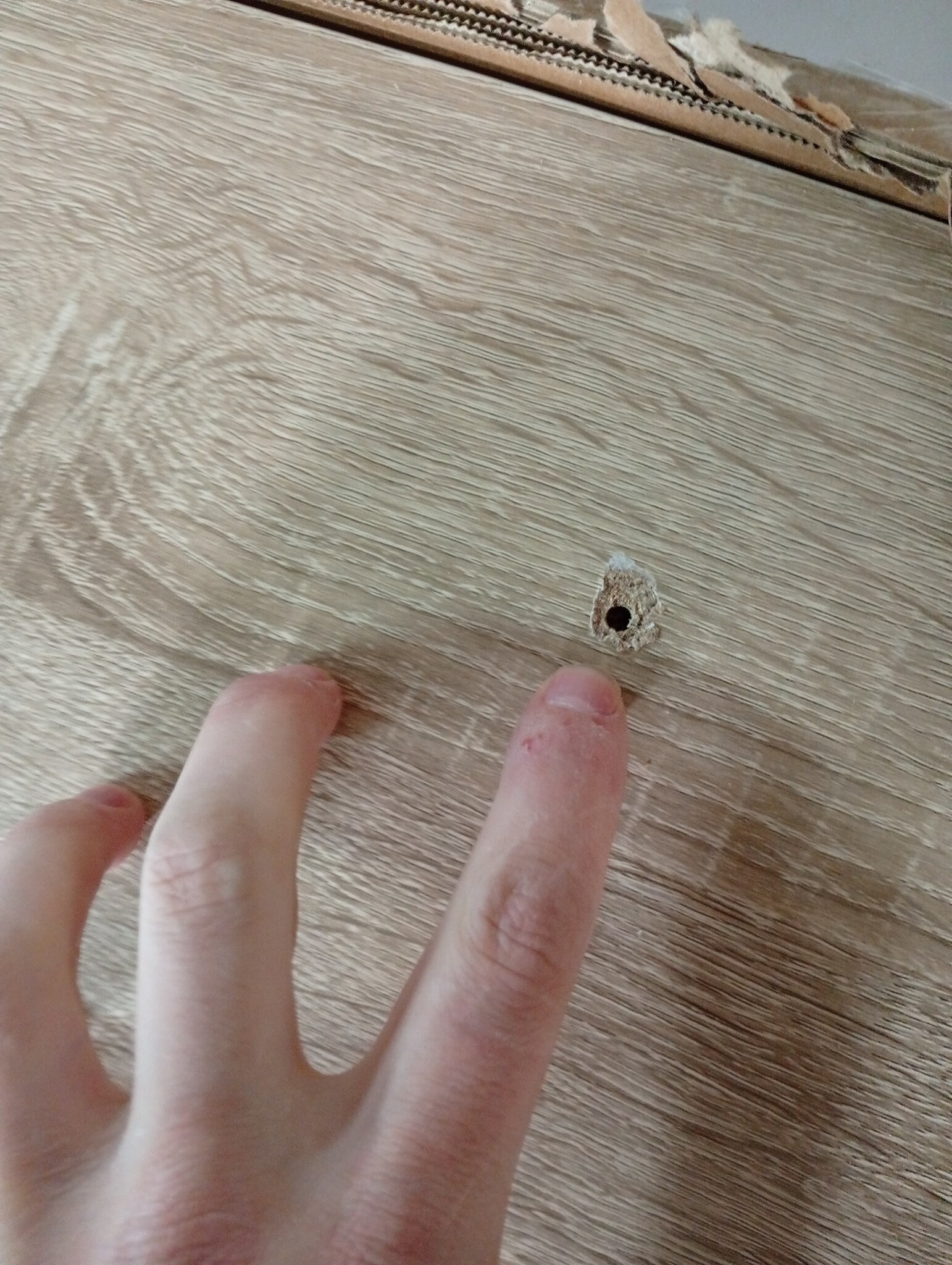 vidaXL Schoenenrek 48x38x97,5 cm - Sonoma Eiken - 53% Korting