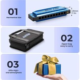 Easttop 10-Gats Blues Harmonica Set - 7 Tonen | 34% Korting