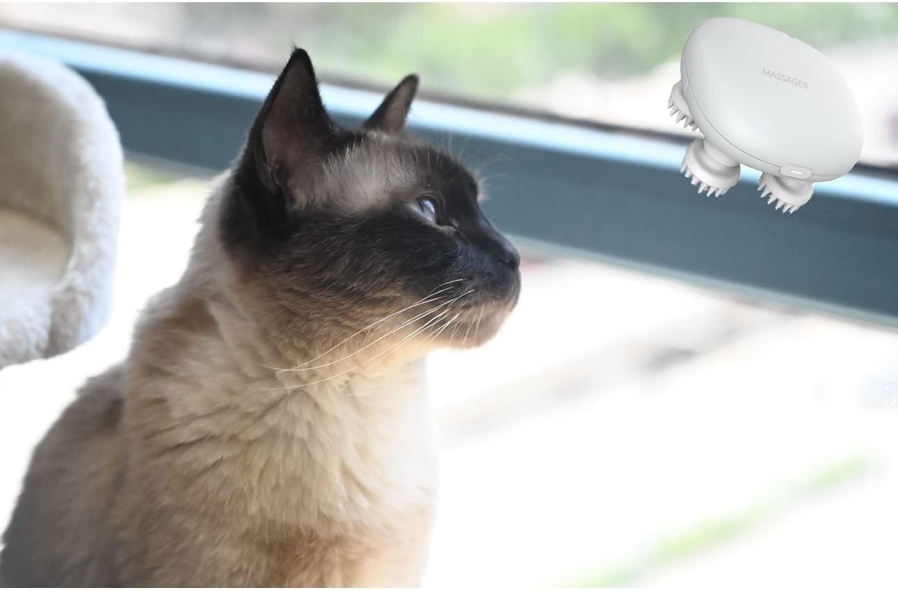 Mini Elektrische Massager Nek Schouder Hoofd - 29% Korting