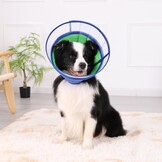 Zachte Hondenhalskraag Beschermend Blauw (Maat 8) - 33% Korting