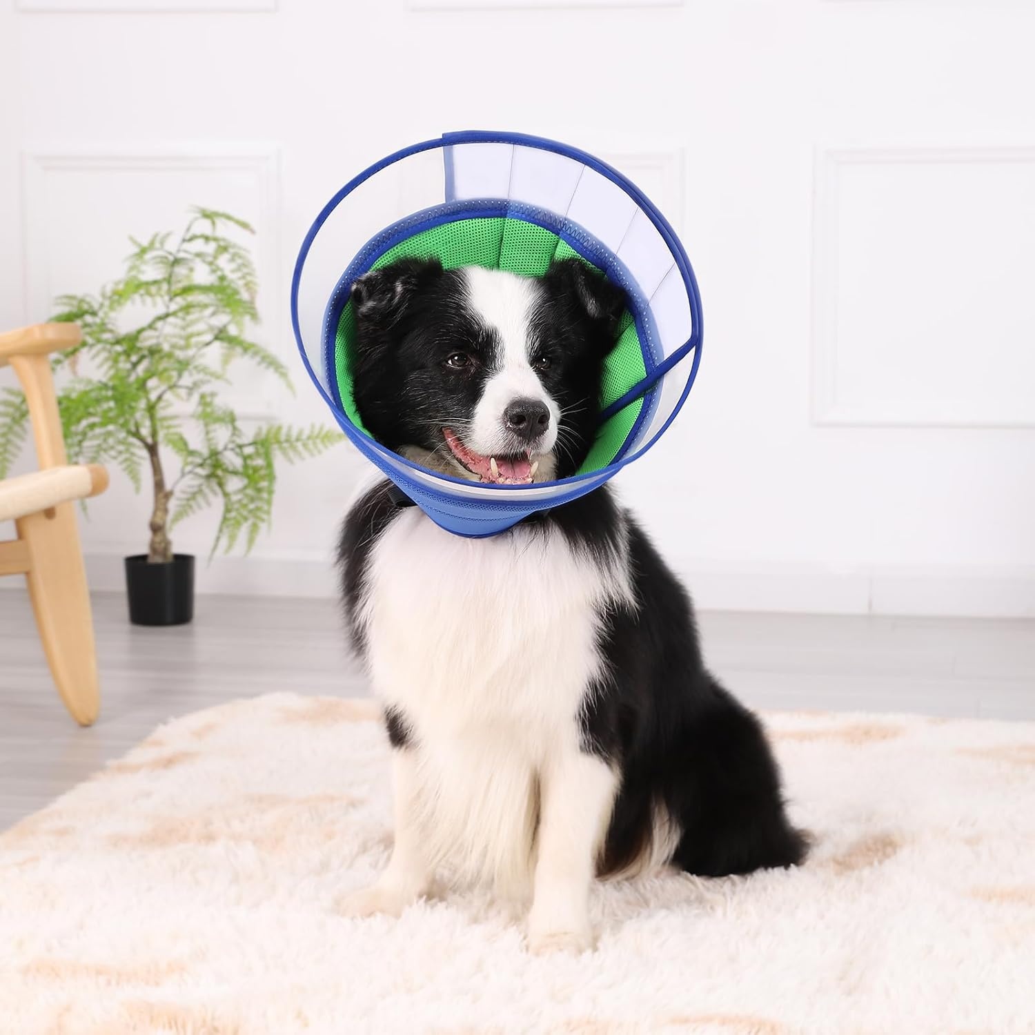 Zachte Hondenhalskraag Beschermend Blauw (Maat 8) - 33% Korting