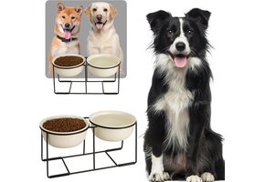 Geretourneerde Keramische Verhoogde Hondenbak Dubbel - Geel - 36% Korting