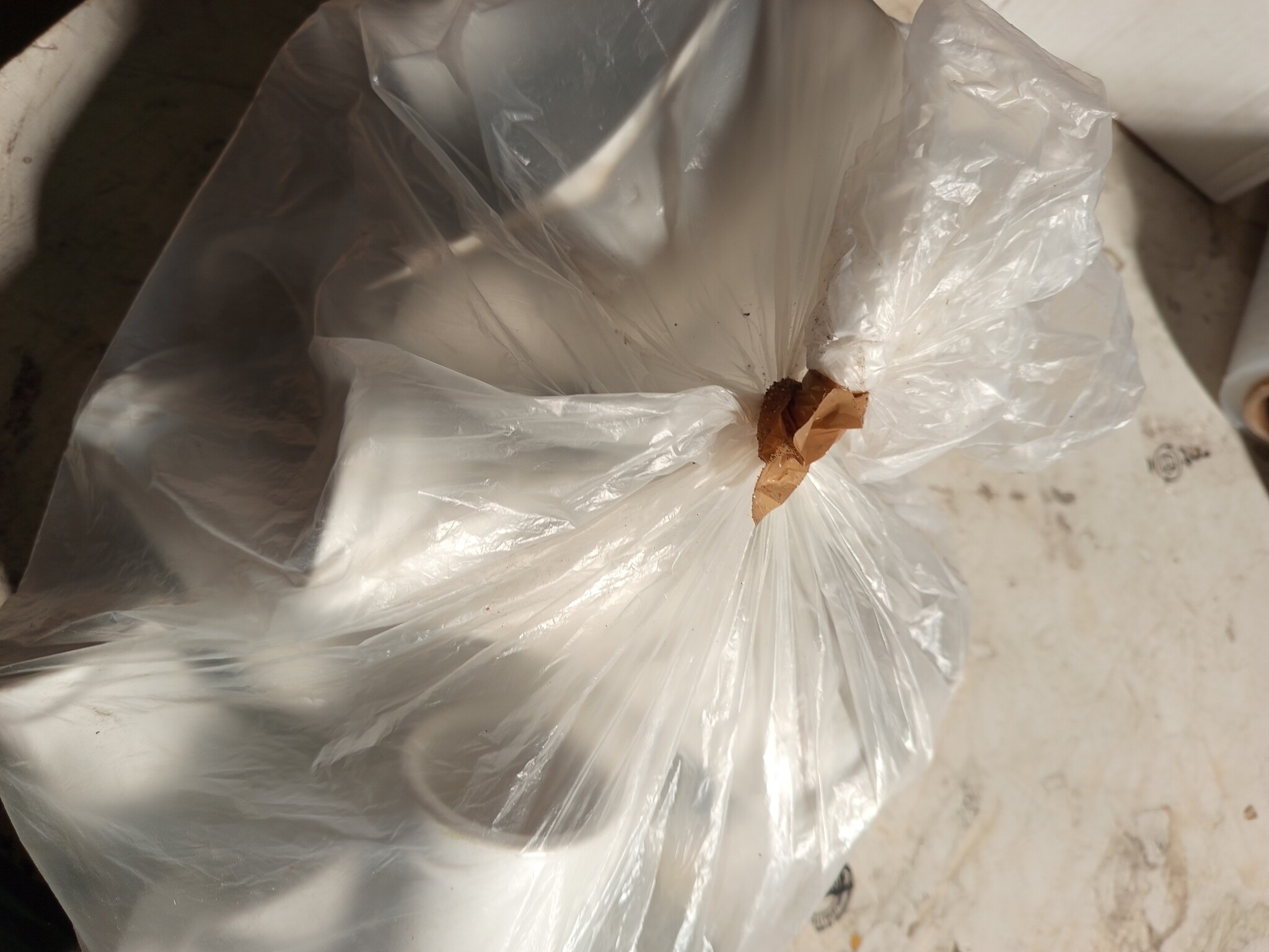 Prism Frame Zwembad Ø366x99cm - 60% Korting!