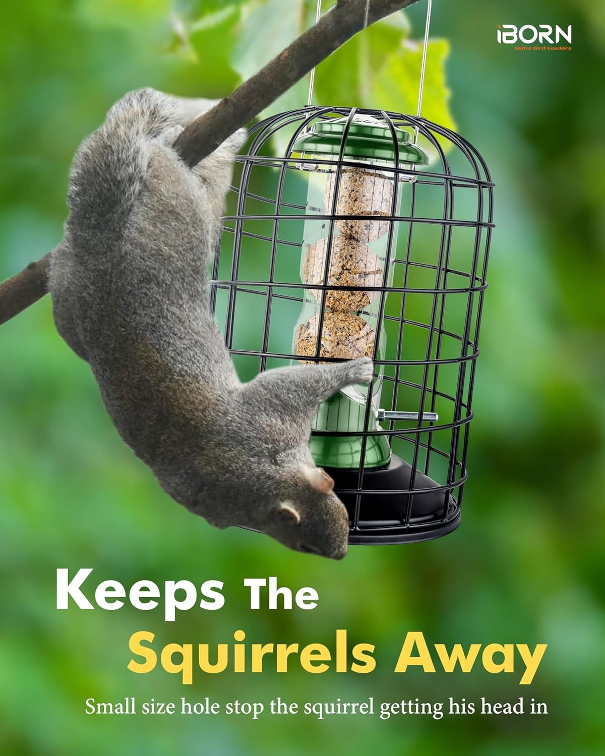 Eekhoornvrije Vogelvoeder (Groen, 20cm) - 28% Korting!