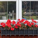 Horrengaas Gordijn Zwart 130x150 cm (23% Korting)