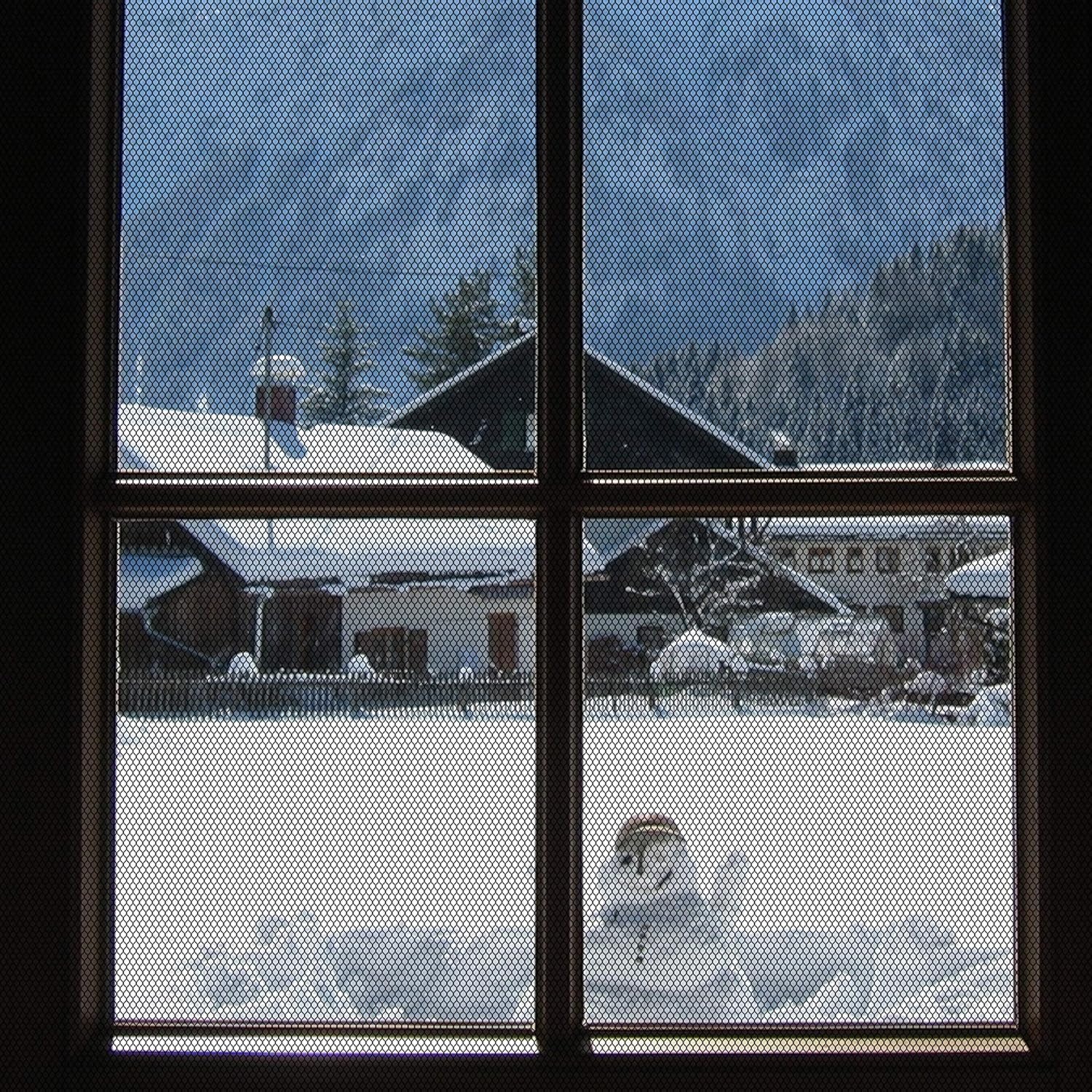 Horrengaas Gordijn Zwart 130x150 cm (23% Korting)