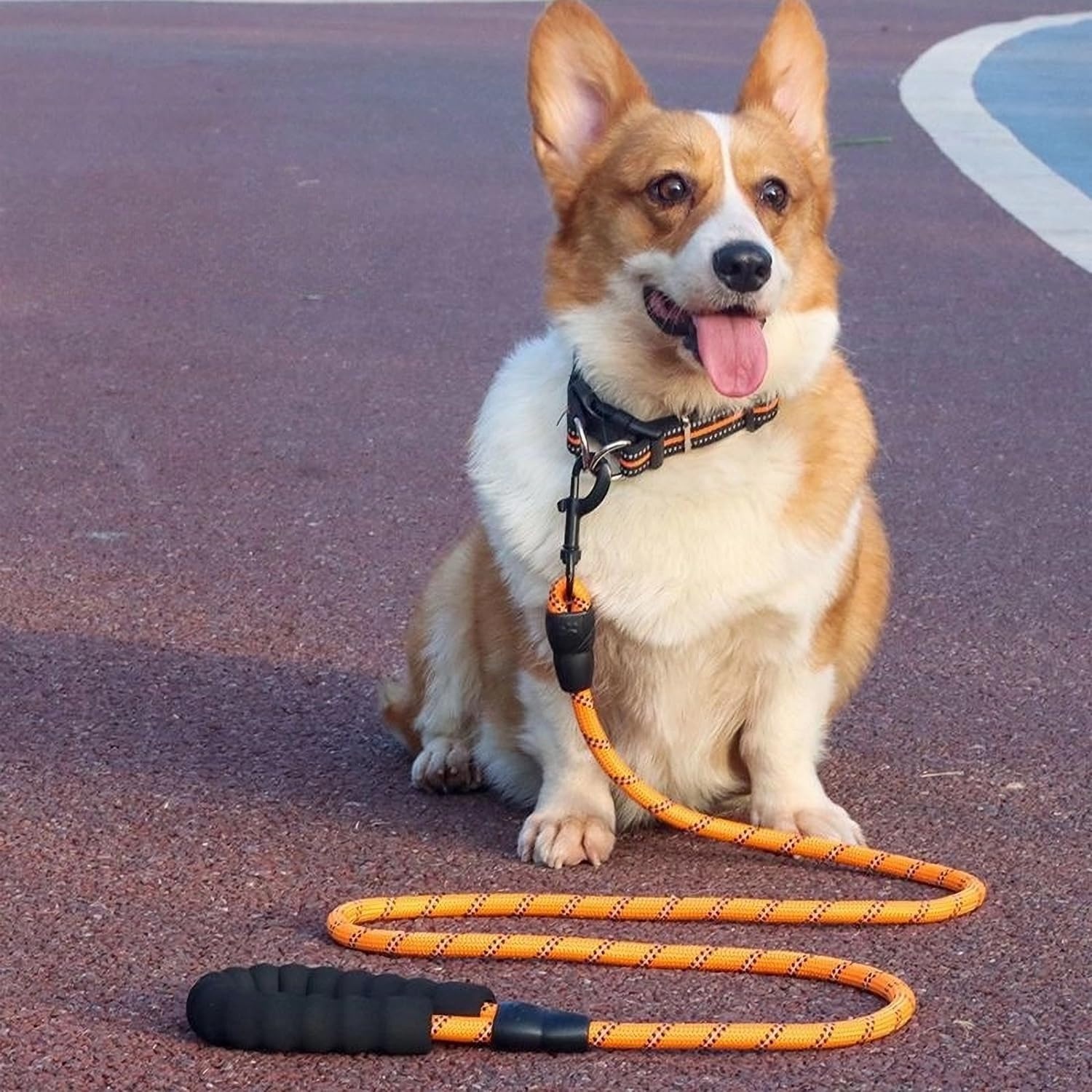 Hondenlijn Reflecterend Nylon Oranje 3m - 24% Korting!