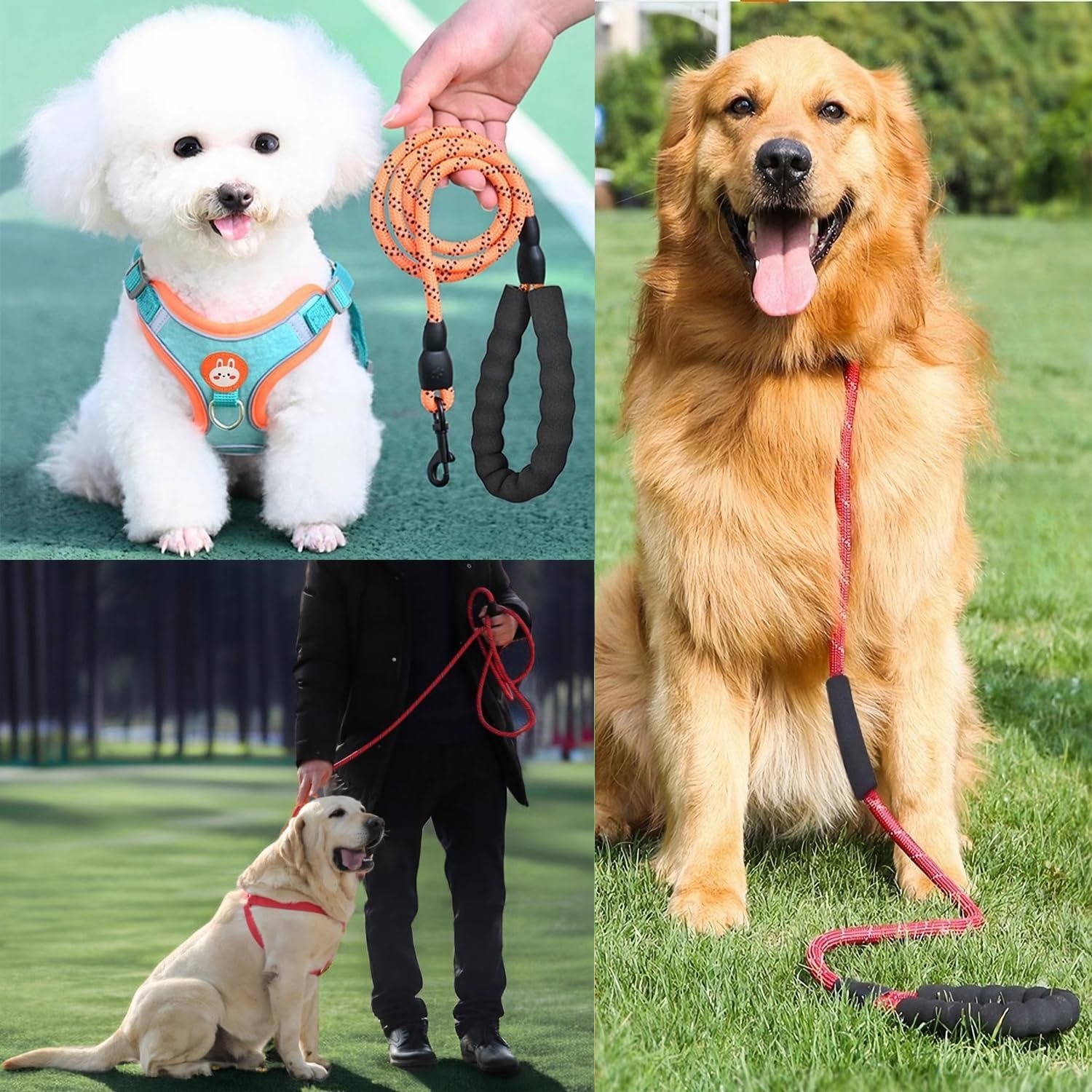 Hondenlijn Reflecterend Nylon Oranje 3m - 24% Korting!