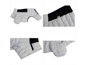 Warme Hondenjas XL Waterdicht, Winddicht, Reflecterend (34% Korting)