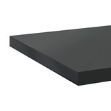 VidaXL Wandschappen RVS Zwart (2 stuks) - 60% Korting!
