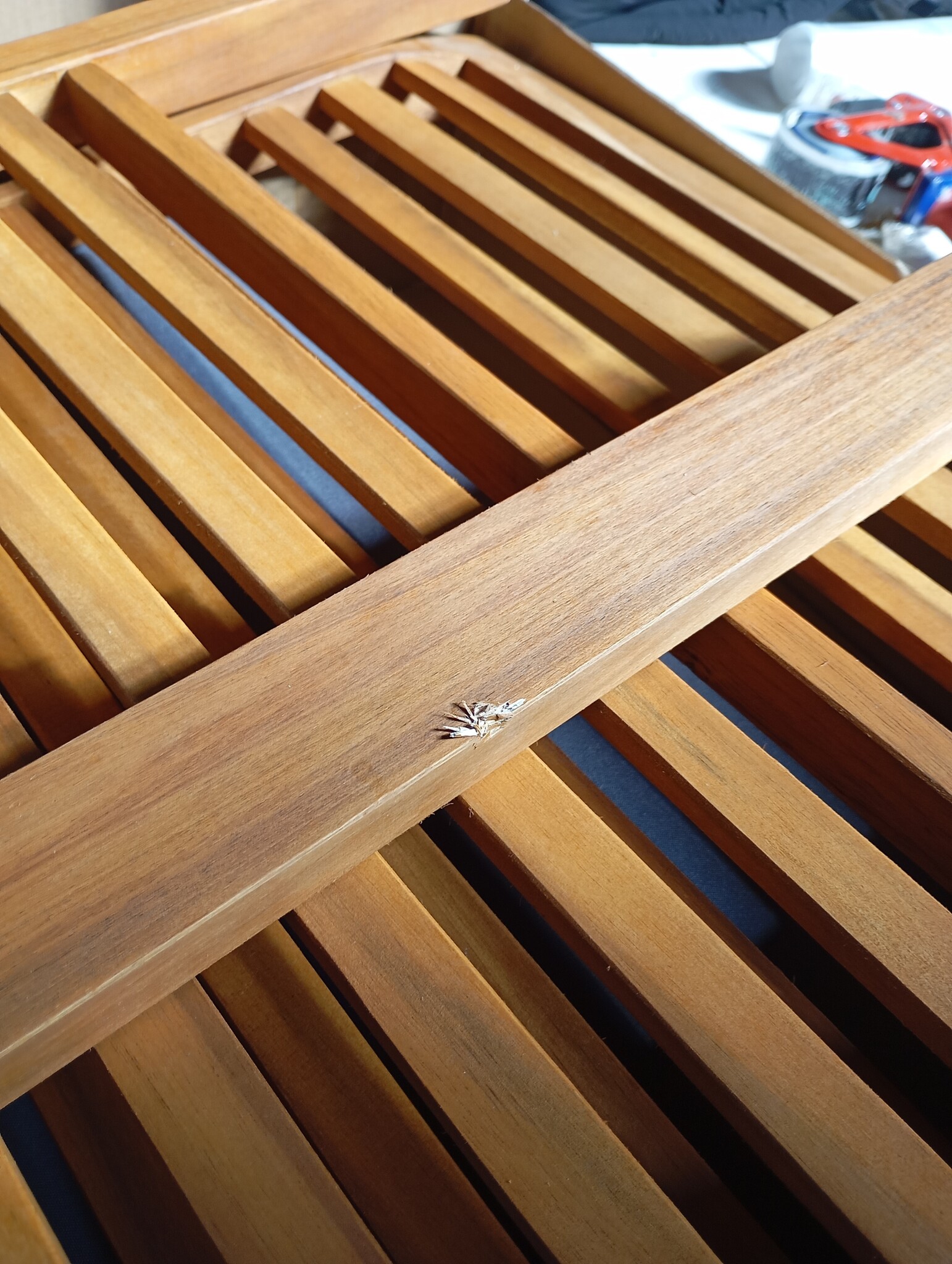 vidaXL Tuinstoel Acaciahout met Kussen - 54% Korting