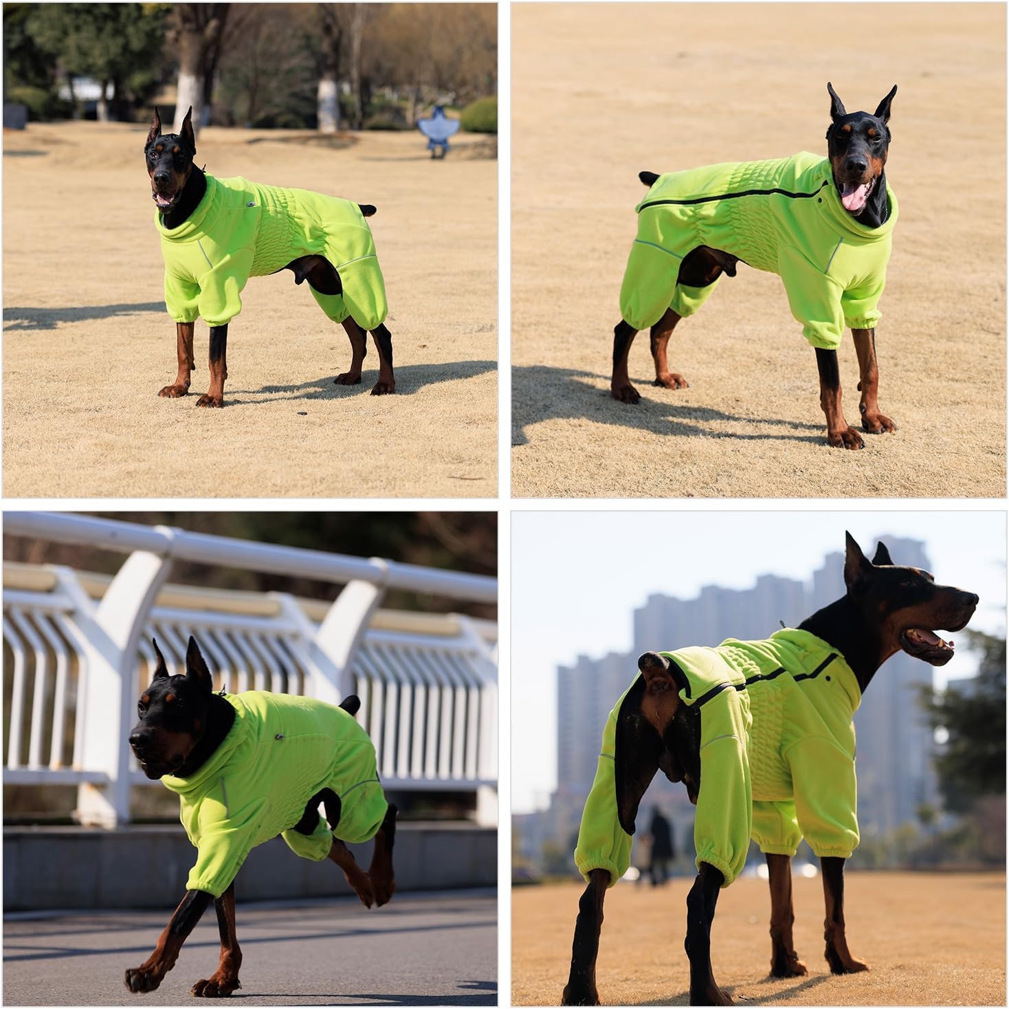 Winddichte Hondentrui Groen XXXXL - Fleece & Hoge Kraag - 59% Korting