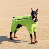 Winddichte Hondentrui Groen XXXXL - Fleece & Hoge Kraag - 59% Korting