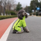 Winddichte Hondentrui Fleece Groen XXXXL - 33% Korting