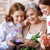 Eeuwige Roos in Glazen Koepel - Cadeau met 32% Korting