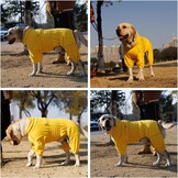 Winddichte Fleece Hondentrui Geel - Maat L - 28% Korting!