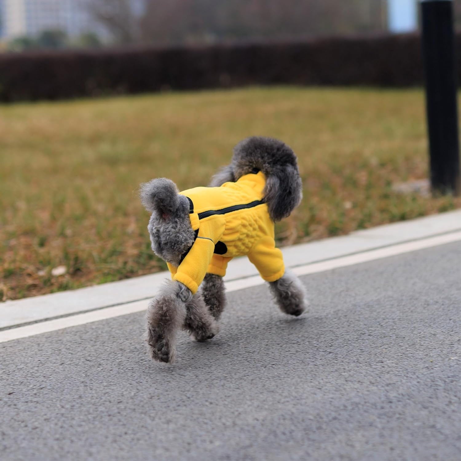 Hondentrui Geel Winddicht Fleece L - 4 Poten | 55% Korting