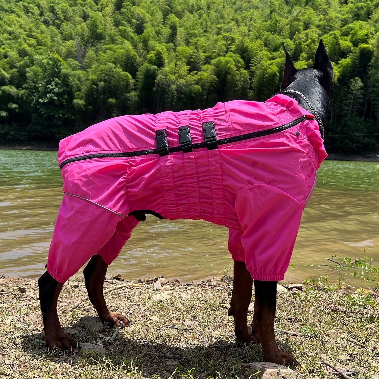 Waterdichte Hond Regenjas Rosered 5XL (rug 74cm) - 59% Korting