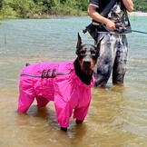 Honden Regenjas Waterdicht 4-Poot XL Rosered - 34% Korting