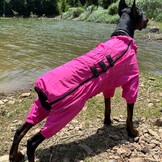 Waterdichte Hond Regenjas Rosered 5XL (rug 74cm) - 59% Korting