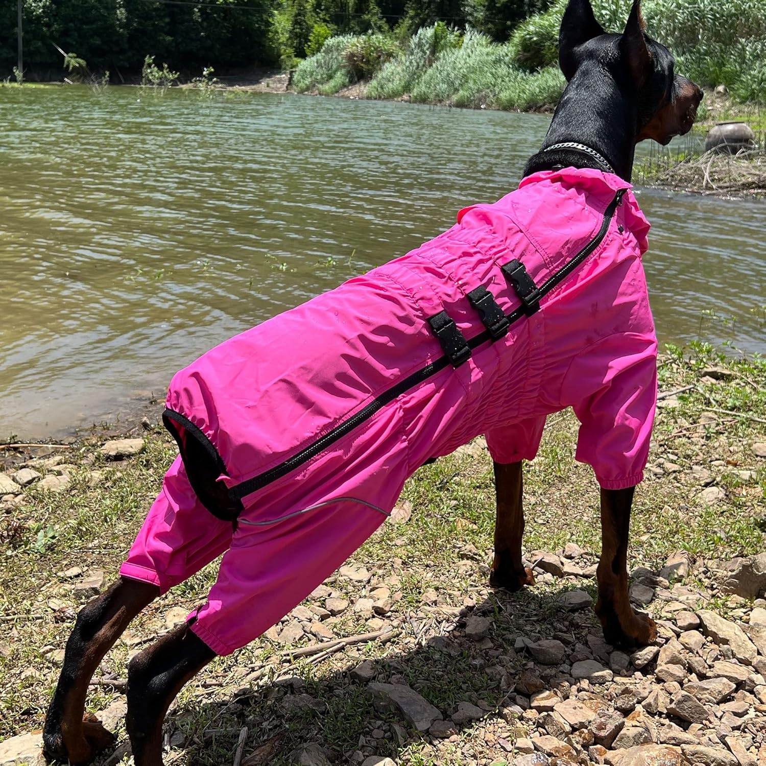 Waterdichte Hond Regenjas Rosered 5XL (rug 74cm) - 59% Korting