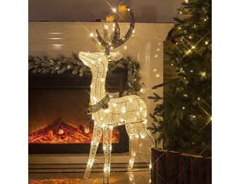 Kerstrendier LED Warmwit 1.2m - 29% Korting!