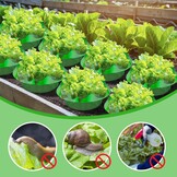 Slakkenkraag set (13 stuks) - 32% korting