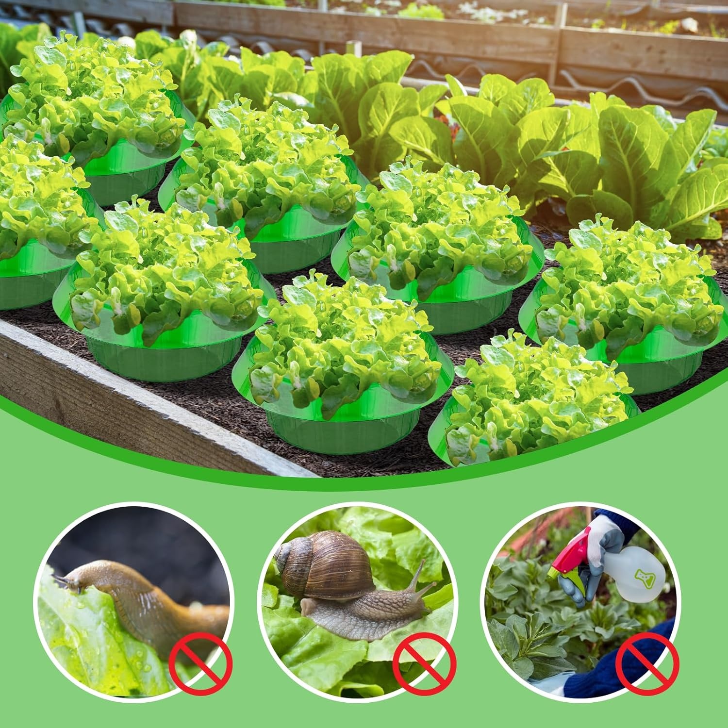 Slakkenkraag set (13 stuks) - 32% korting