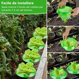 Slakkenkraag set (13 stuks) - 32% korting