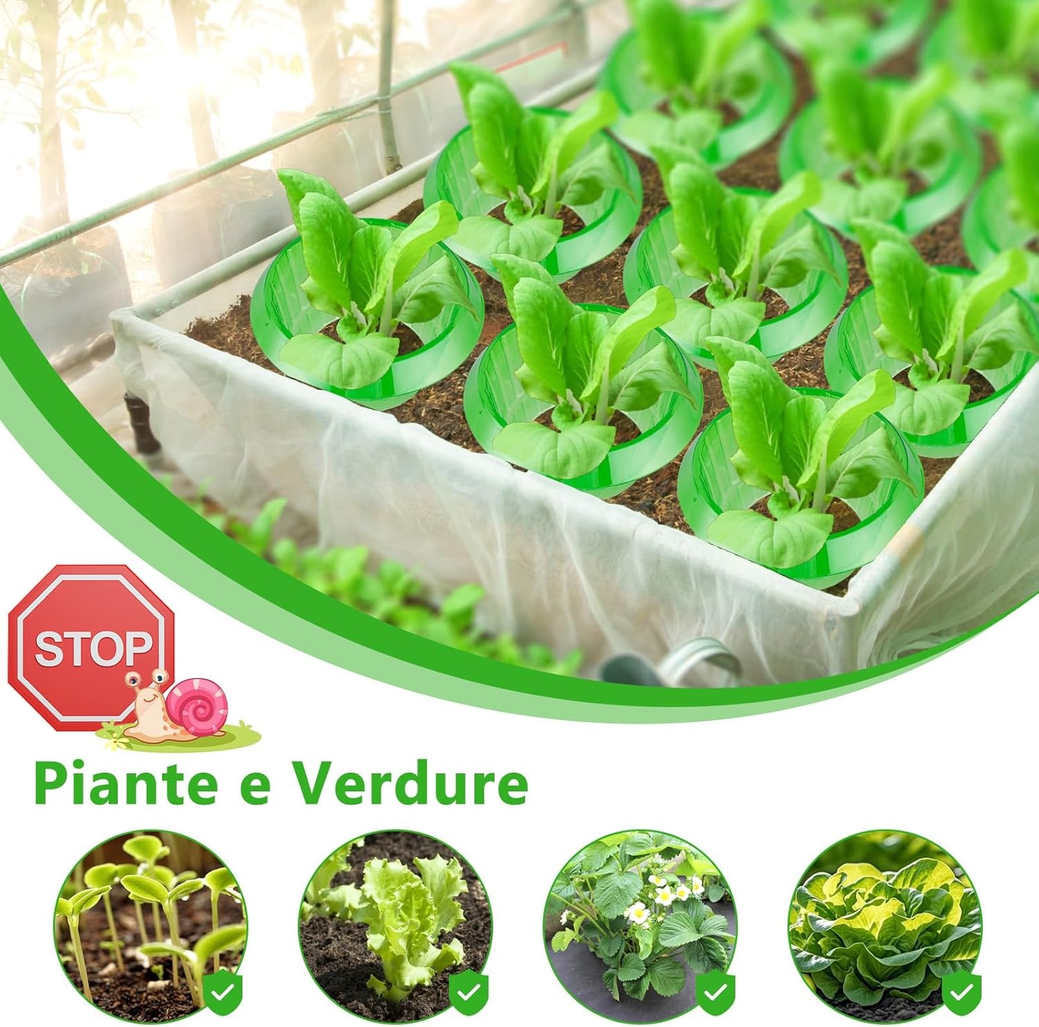 Slakkenkraag set (13 stuks) - 32% korting