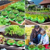 Slakkenkraag set (13 stuks) - 32% korting