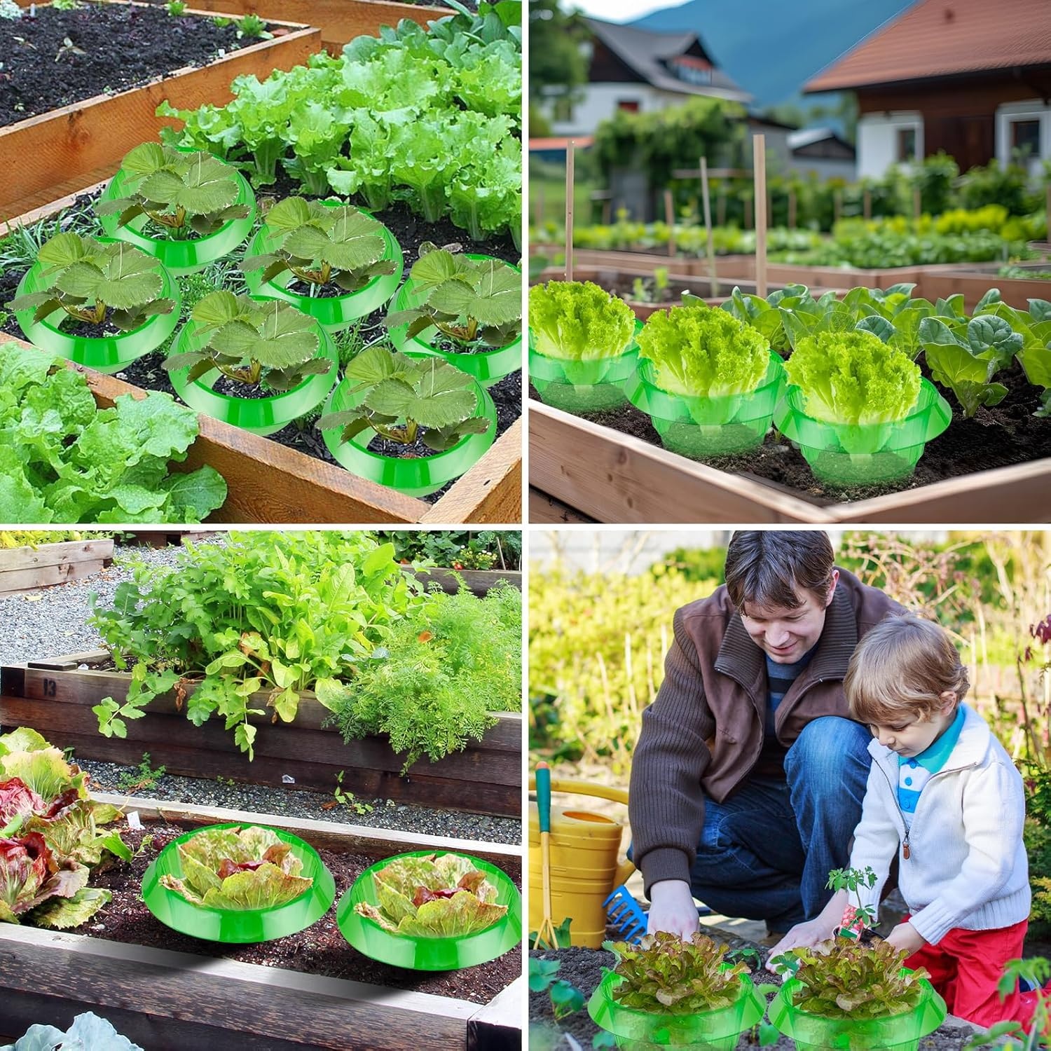 Slakkenkraag set (13 stuks) - 32% korting