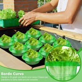 Slakkenkraag set (13 stuks) - 32% korting