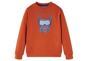 Kindertrui Lichtroest (Maat 116) - 37% Korting!