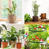 Tomaten Klimhulp Set: Verstelbare Plantensteun voor Komkommer & Bloemen (141-delig, -56%)